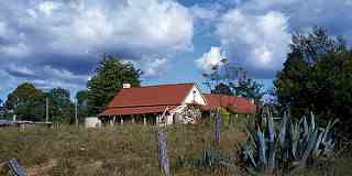 The Pilgrim Inn | by Blue Mountains Local Studies